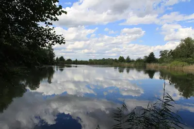 Naturlandschaft in der Nähe der Ferienwohnung