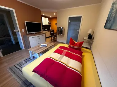 TV/Unterhaltungsangebot in der Unterkunft Weinrebe Oberhermsdorf nahe Dresden