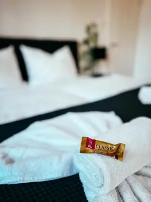 Ein Bett oder Betten in einem Zimmer der Unterkunft Oasis Appart - Wohnen im Königspark - Elbhang Dresden - große Terrasse - Netflix - TG