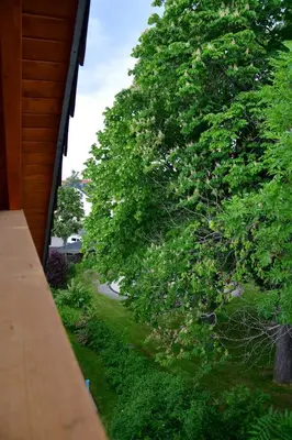 Ein Garten an der Unterkunft Domizil Eutschützgrün