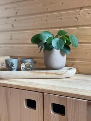 Grundriss der Unterkunft Kleines Chalet im Erzgebirge mit Sauna und Kamin