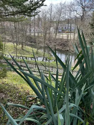 Ein Garten an der Unterkunft Ferienhaus Lavendel