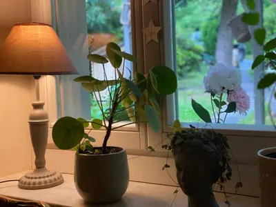 Ein Garten an der Unterkunft Familienfreundliches Landhaus 