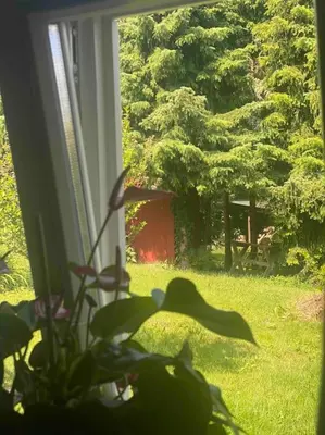 Ein Garten an der Unterkunft Familienfreundliches Landhaus 