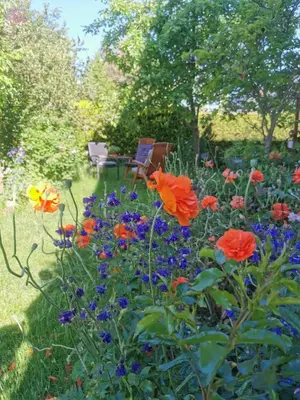 Ein Garten an der Unterkunft Gartenwohnung Paulsdorf