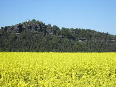 Naturlandschaft in der Nähe der Ferienwohnung