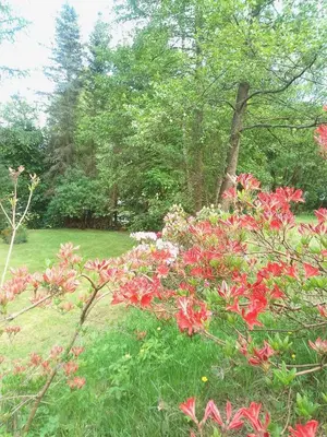 Ein Garten an der Unterkunft Haus Gaia