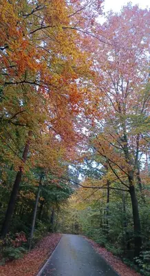 Naturlandschaft in der Nähe des Ferienhauses