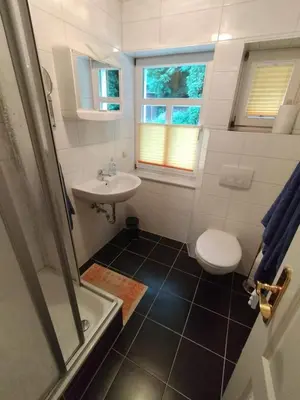 Ein Badezimmer in der Unterkunft Ferienwohnung 3 Am Zahnsborn