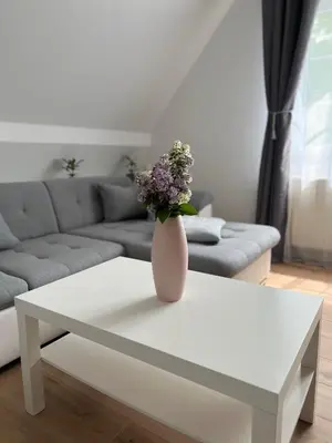 Ein Sitzbereich in der Unterkunft Ferienwohnung zum Scheibe-See