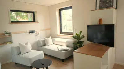 TV/Unterhaltungsangebot in der Unterkunft Tiny Design-Modulhaus mit 33 m²
