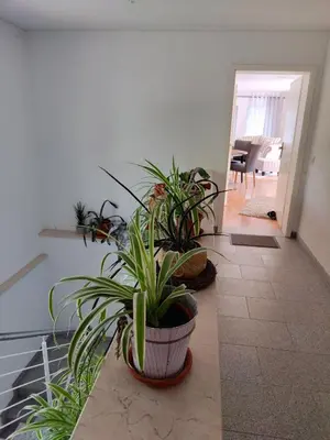 Grundriss der Unterkunft Ferienwohnung zur alten Post