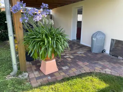 Ein Garten an der Unterkunft Sprem0602