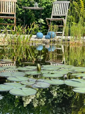 Ein Garten an der Unterkunft Sprem0602