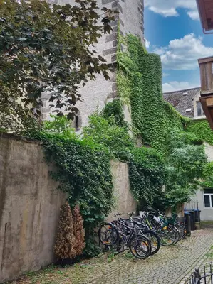 Radfahren an der Unterkunft Altstadt Domizil oder in der Nähe
