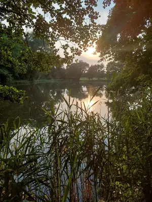 Naturlandschaft in der Nähe der Ferienwohnung