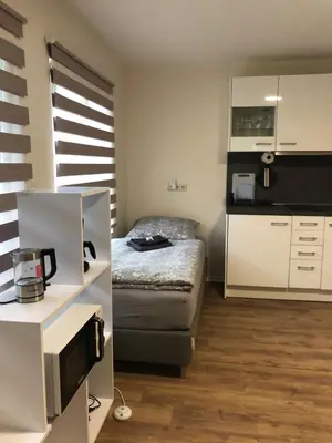 Küche/Küchenzeile in der Unterkunft GottwaldHaus-Freiberg-Apartment / B