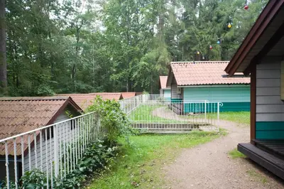 Ein Garten an der Unterkunft Waldidylle - Bungalows an der Talsperre Kriebstein