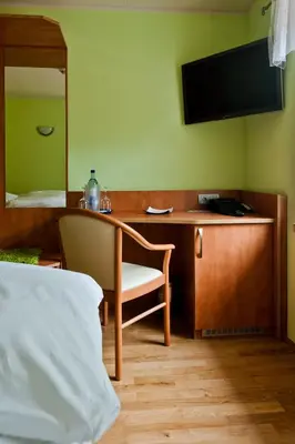 TV/Unterhaltungsangebot in der Unterkunft Bergrestaurant Schwedenstein