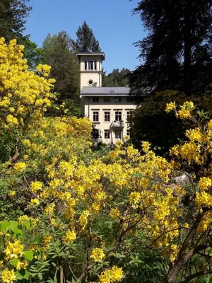 Ein Garten an der Unterkunft Rapunzel trifft Dornröschen