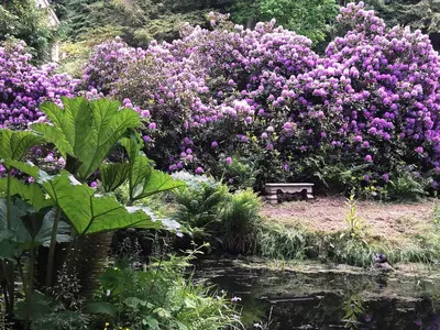 Ein Garten an der Unterkunft Rapunzel trifft Dornröschen