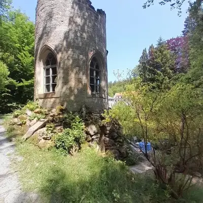 Rapunzel trifft Dornröschen