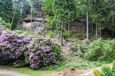 Ein Garten an der Unterkunft Hotel Waldhäusel