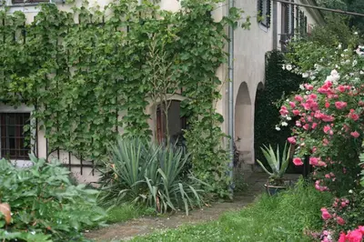 Ein Garten an der Unterkunft Poncet´sches Herrenhaus