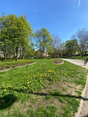 Ein Garten an der Unterkunft K2-Project - Zeitreise ins Smart Living