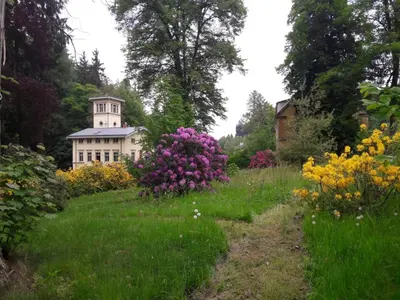 Grundriss der Unterkunft Parkresidenz Flora