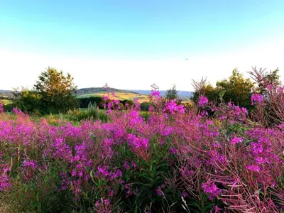 Naturlandschaft in der Nähe der Ferienwohnung