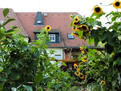 Ein Garten an der Unterkunft Rittergut Dornreichenbach