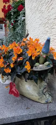 Ein Garten an der Unterkunft Pension Füg