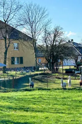 Ein Garten an der Unterkunft Gelbes Haus Seenland Ferienwohnungen XL