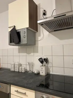 Küche/Küchenzeile in der Unterkunft Stilvolle Apartments im Grünen mit Wohlfühlcharakter
