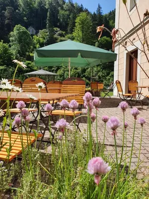Ein Garten an der Unterkunft Hotel Garni Dekorahaus