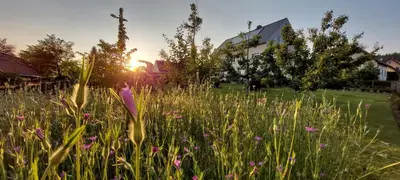 Ein Garten an der Unterkunft HERZstück Erzgebirge