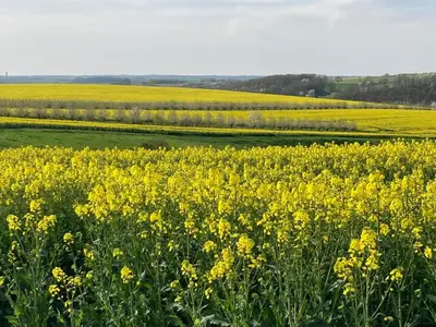 Naturlandschaft in der Nähe des Ferienhauses
