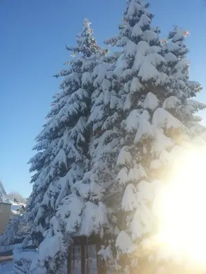 Pension Zur Wartburg im Winter