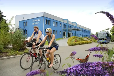 Radfahren an der Unterkunft Strandhotel Senftenberger See oder in der Nähe