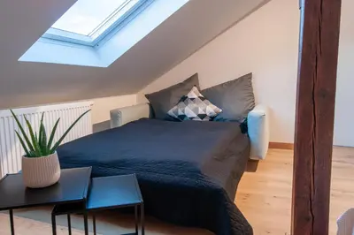 Ein Bett oder Betten in einem Zimmer der Unterkunft Große familienfreundliche Wohnung in Dresden