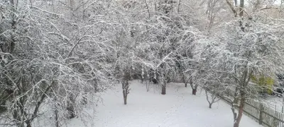 Villa Küchwald im Winter