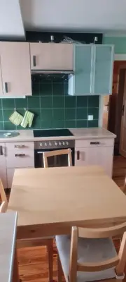 Küche/Küchenzeile in der Unterkunft Villa Küchwald