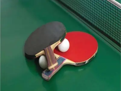 Tischtennis in der Unterkunft Verspielter sächsischer Rückzugsort oder in der Nähe