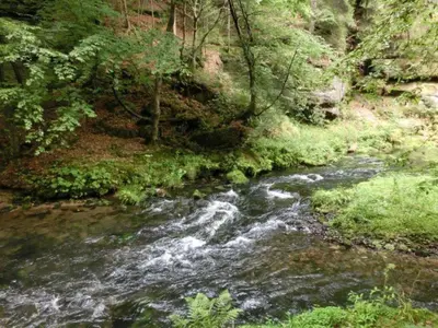 Naturlandschaft in der Nähe der Ferienwohnung