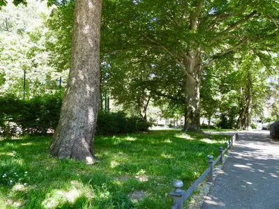 Ein Garten an der Unterkunft Modernes Zwei-Zimmer-Apartment Chemnitz - Kaßberg