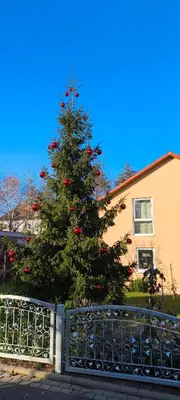 Ein Garten an der Unterkunft myCozyPlace - Zwei gemütliche Zimmer für Vier