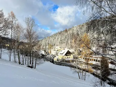 Urige Berghütte mit Kamin und Sauna im Erzgebirge nahe Schwarzwassertal im Winter
