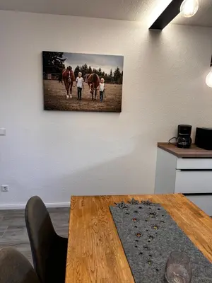 TV/Unterhaltungsangebot in der Unterkunft Landhof Belka