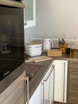 Küche/Küchenzeile in der Unterkunft Ferienwohnung Villa Grützner
